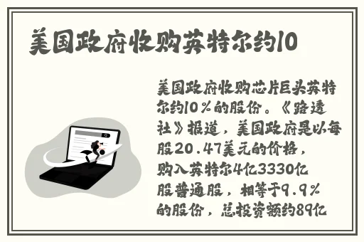 小洞需要大肉肠小鸟