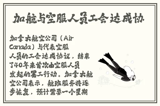 黑寡妇标准版和V3区别